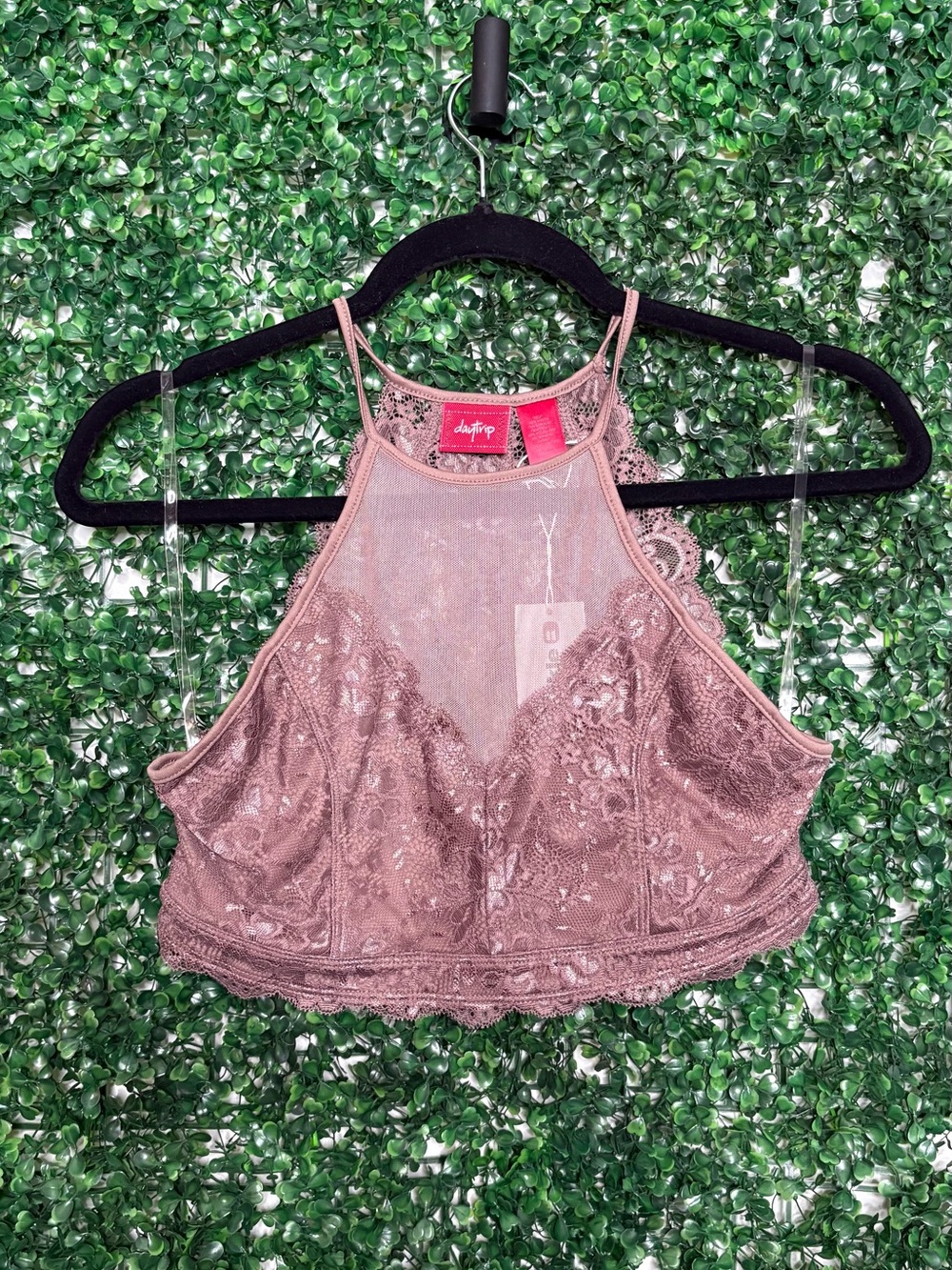 Daytrip dusty rose Lace High-Neck Bralette